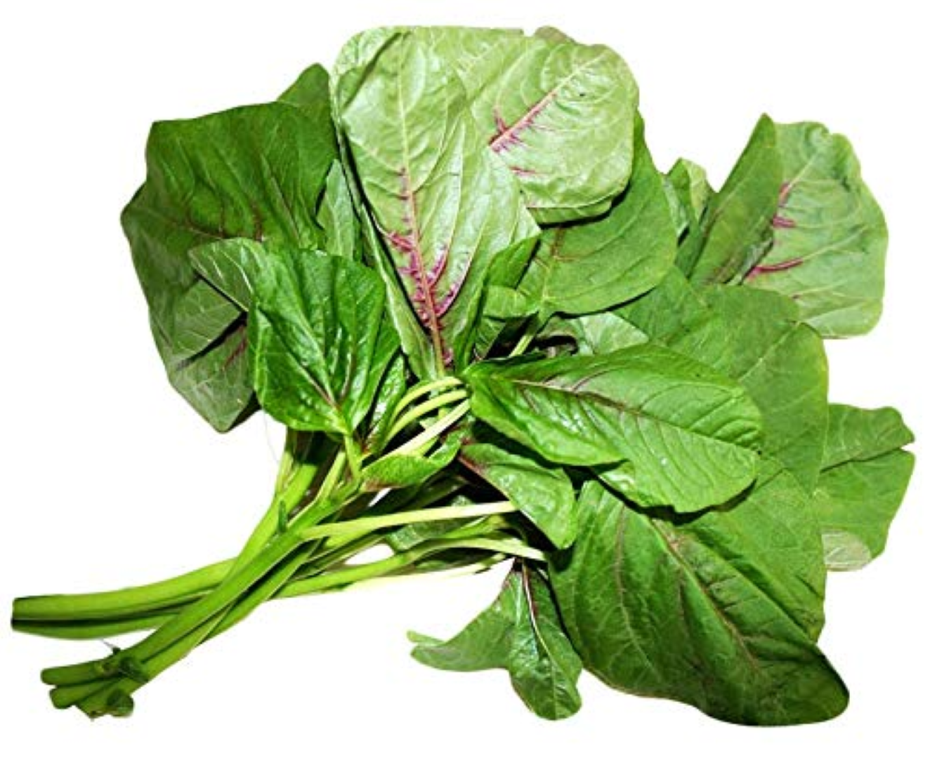FRESH CHINESE CABAGE